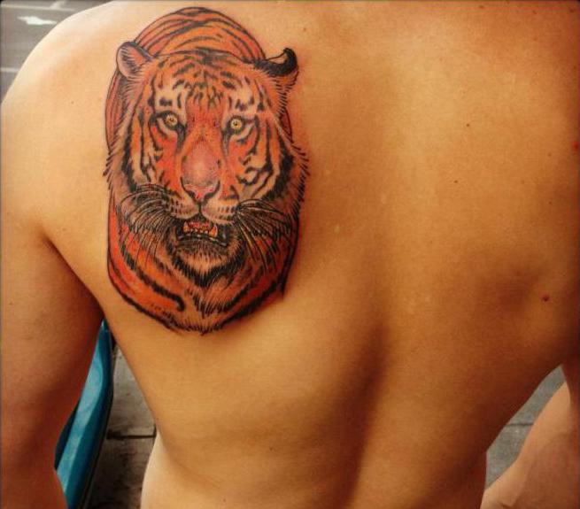 Tatuaż tygrysów