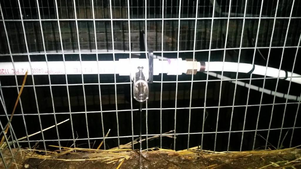 自动饮水器兔