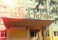 Otel, «Beyaz Geceler» (St. Petersburg): hizmet, daireler ve fiyatları