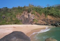 क्या समुद्र तटों रहे हैं दक्षिण गोवा में?