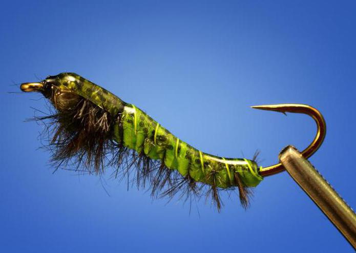 ручейник larva de libélulas
