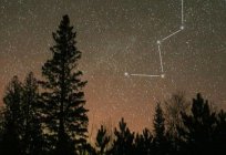 Northern hemisphere and the polar constellations