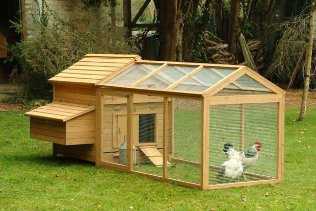 house for chickens