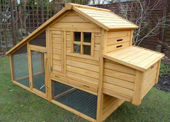 houses for chickens with their hands