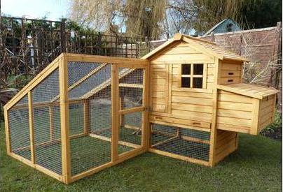 house for chickens photo