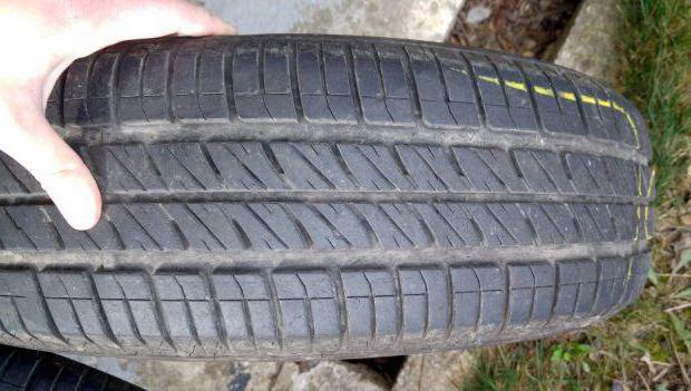 summer tire Sava Perfecta price