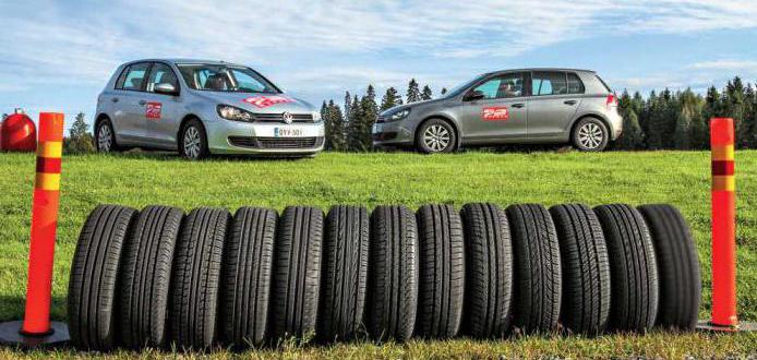 summer tire Sava Perfecta test