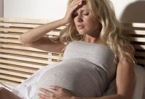 18 semana de gravidez, não sinto шевелений. 18 semanas de gravidez: o que está acontecendo no momento?