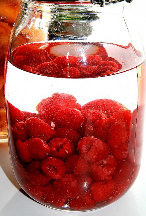 tincture recipe raspberry