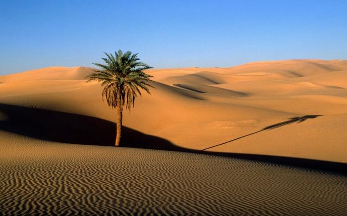 die Wüsten Afrikas
