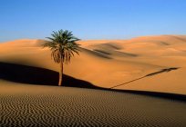 Deserts of the world and their characteristics