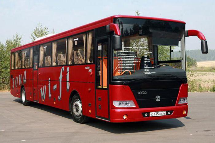 Golas-Bus