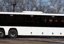 El autobús ГолАЗ 5251, 6228: especificaciones y fotos