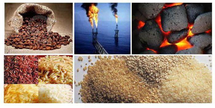 commodity research and characterization of raw materials