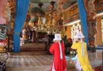 Vietnam: religion and its features
