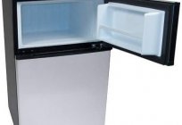 Small refrigerator with freezer: overview, features and reviews