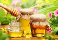 Honey pine: useful properties, contraindications, features and reviews