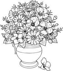 drawings of flowers in a vase