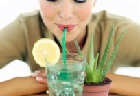 Aloe Vera juice: instructions for use, analogs, reviews and
