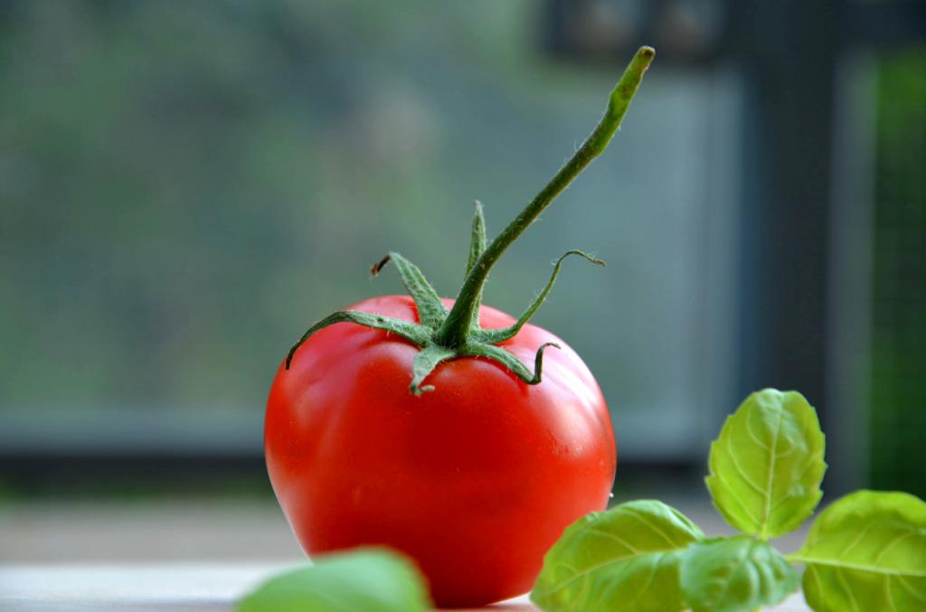die Frucht der Tomate Granden