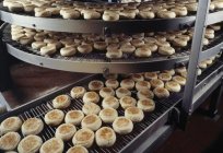 How to open a bakery from scratch? You need to open a bakery from scratch?