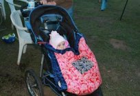 A few ideas on how to decorate a stroller for a pram parade