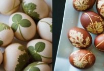 Natural dyes for eggs – simply and safely