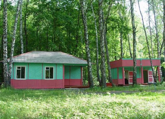 un lugar de vacaciones en la región de lipetsk