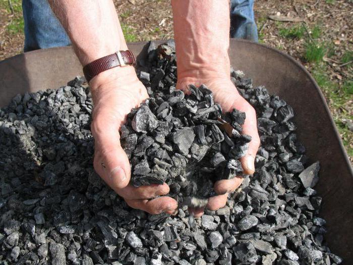 la extracción de carbón