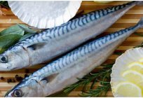 How useful is the herring, its properties and calorie