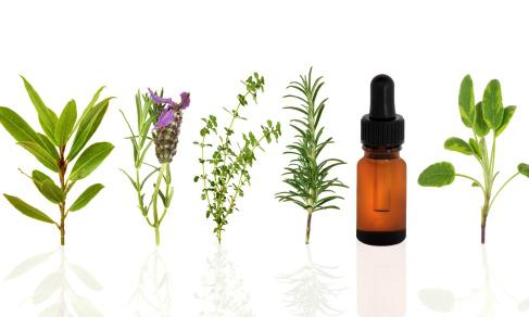 essential oils for face