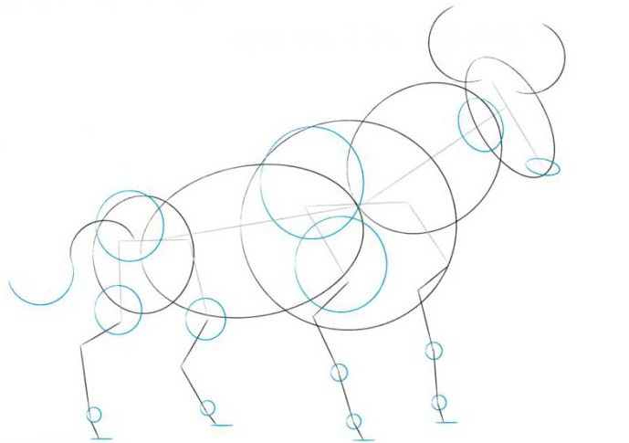 how to draw a bull step by step,