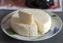 Адыгейский queso: calorías por cada 100 gramos, la composición, las propiedades útiles y contraindicaciones. Receta de cocina en el hogar