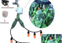 Drip irrigation: a device principle of operation, installation, reviews. Diagram of drip irrigation