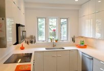 Mutfak için küçük bir mutfak: fotoğraf, tasarım, optimum renk