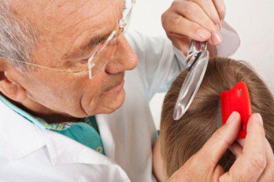 die Ursachen des Auftretens von Kopfläusen bei Kindern