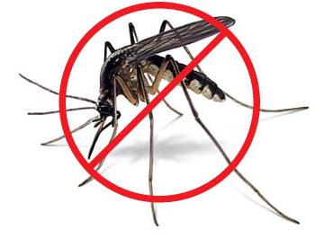 чим відлякати комарів