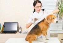 Veterinary medicine 