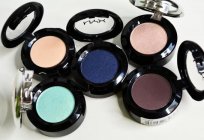 Brand Nyx. Shadow: the characteristics and rules of application