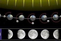 New moon. What are the phases of the moon