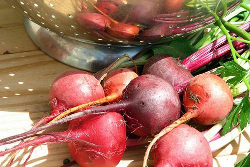beets for the winter