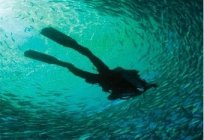 Жапон теңізі, ерекшеліктері туризм