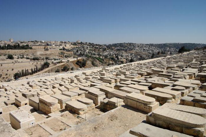 el monte de los olivos de jerusalén