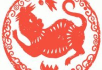 The year of the Rat: characteristics and signs according to practical astrology