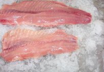 Fish silver carp: harm and benefit