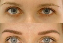 La sombra en el difuminado de las cejas: los clientes, la foto de antes y después de la