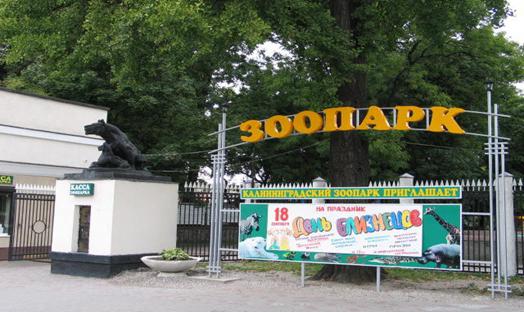 Kaliningrad zoo