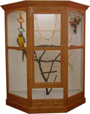 parrot Cage with their hands