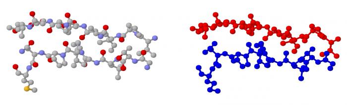 la estructura de las moléculas de hidratos de carbono