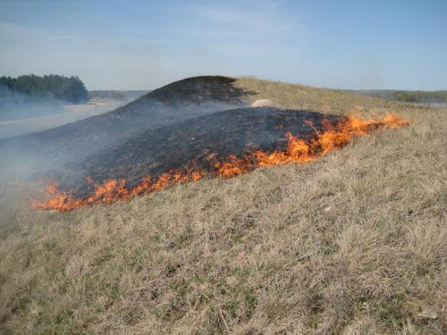 Steppe and peat fires